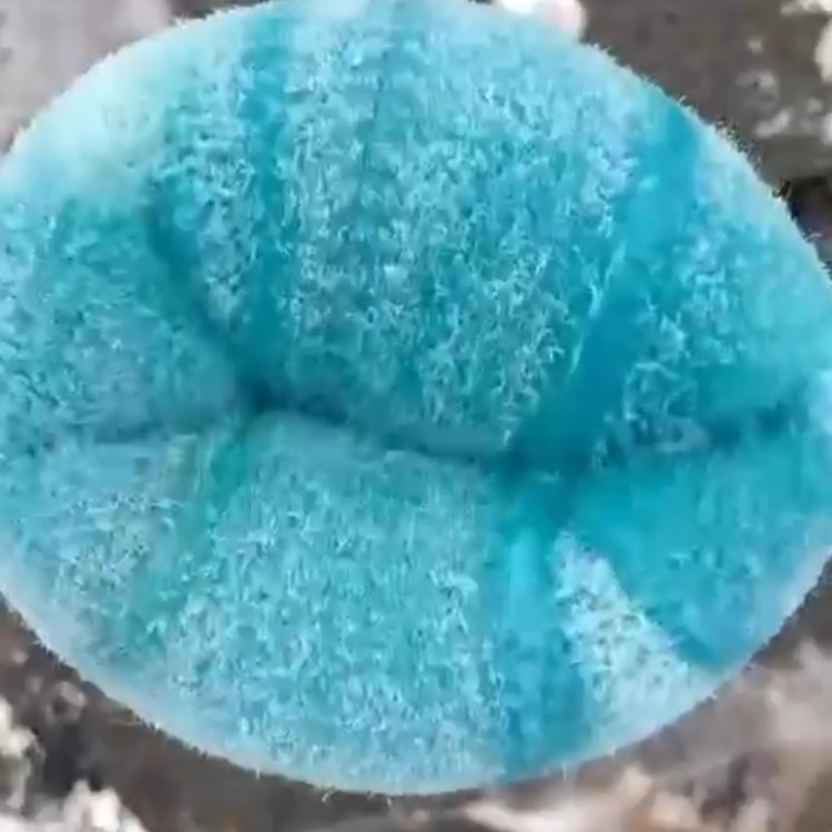 Kazısız boru kaplama Aydın